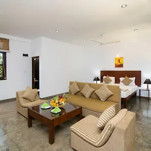 Camellia And Sigiriya